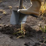 Ali je treba zelenjavni vrt prekopati za zimo: strokovni agronomi so podali dokončen odgovor ali-je-treba-zelenjavni-vrt-prekopati-za-zimo-strokovni-agronomi.webp.webp
